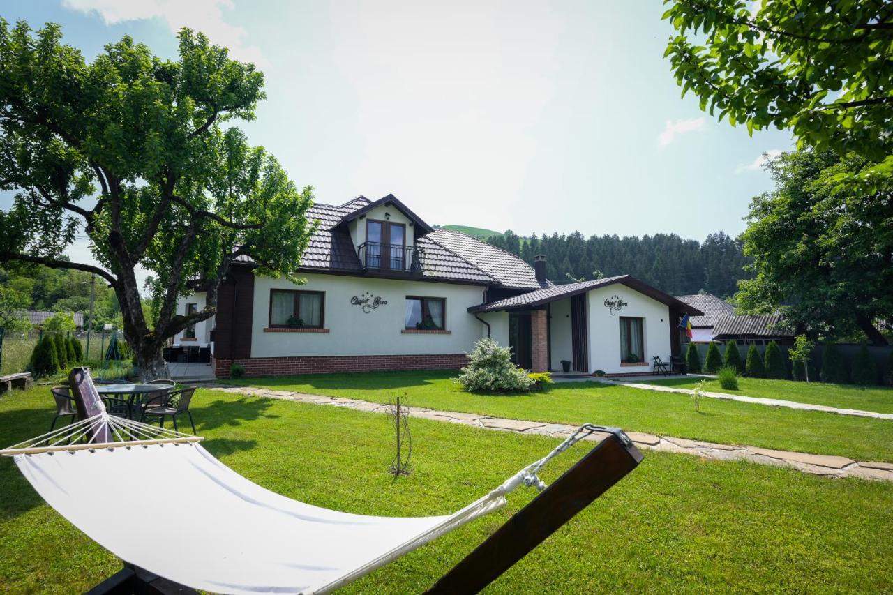 Chalet Bora Viseu de Jos Exteriér fotografie