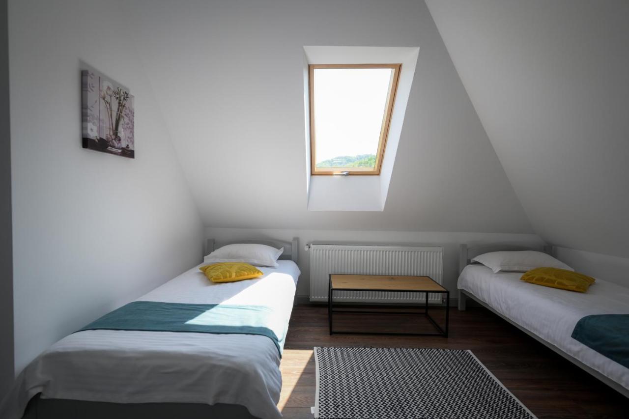 Chalet Bora Viseu de Jos Exteriér fotografie