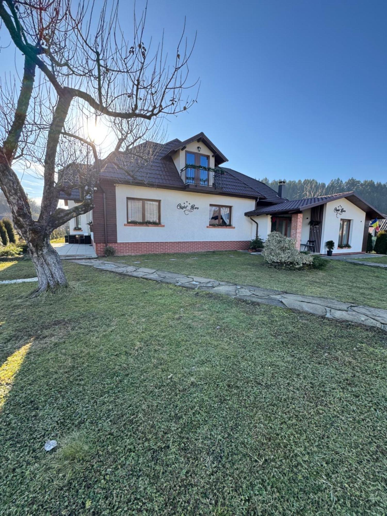 Chalet Bora Viseu de Jos Exteriér fotografie