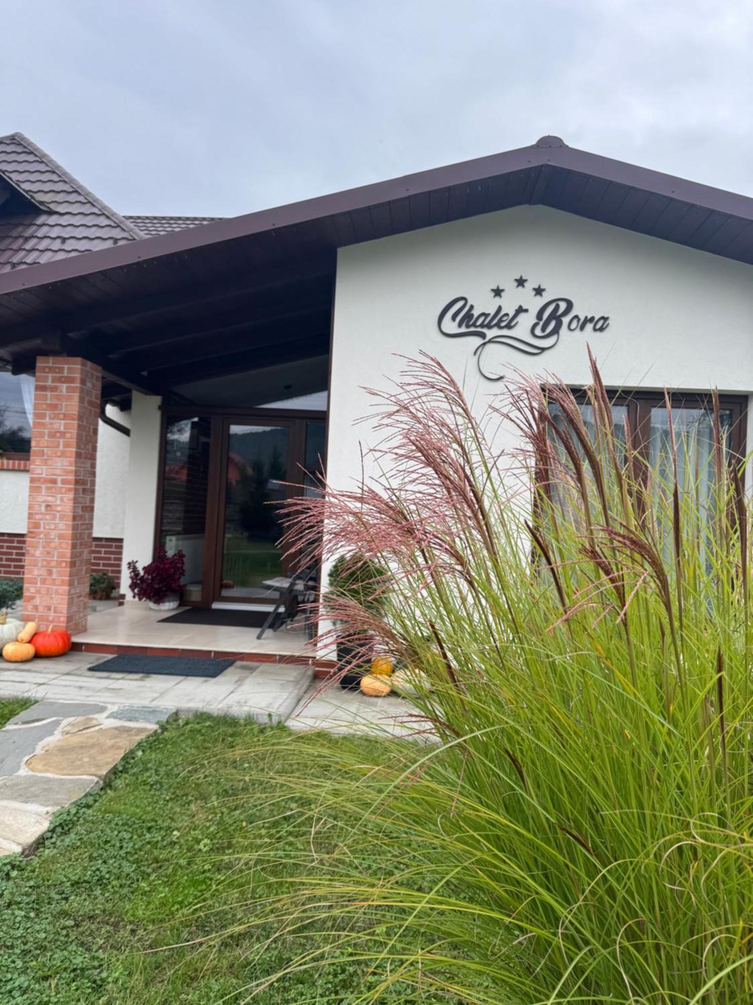 Chalet Bora Viseu de Jos Exteriér fotografie