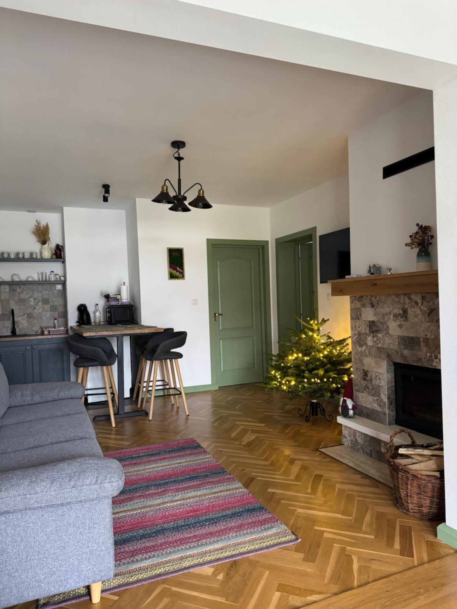 Chalet Bora Viseu de Jos Exteriér fotografie