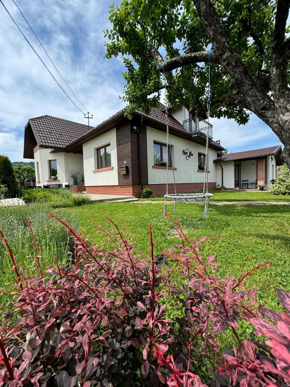 Chalet Bora Viseu de Jos Exteriér fotografie