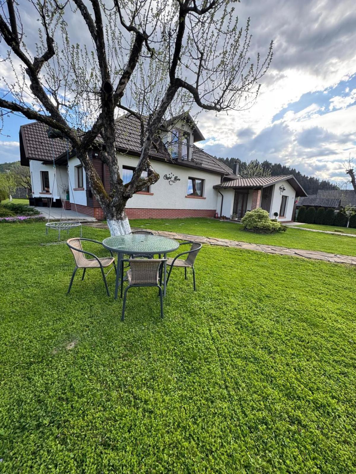 Chalet Bora Viseu de Jos Exteriér fotografie